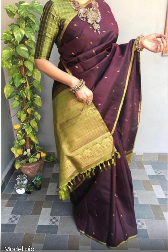 Brown Handloom Kanchipuram Silk Saree with Contrast Pallu & Blouse