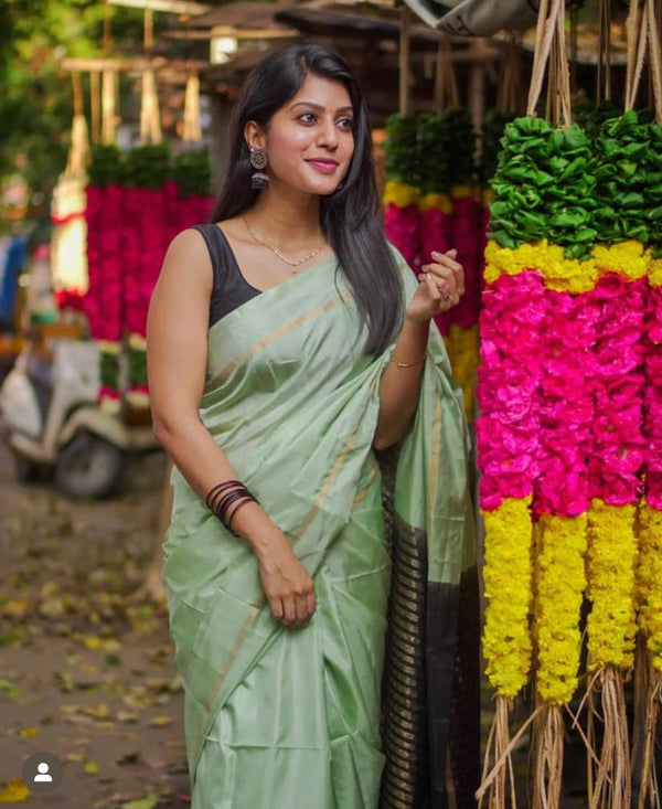 Pastel Blue Plain Soft Silk Saree with Contrast Designer Pallu & Blouse