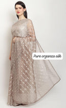 Pastel Organza Saree with Chikankari Embroidery with Crochet Lace