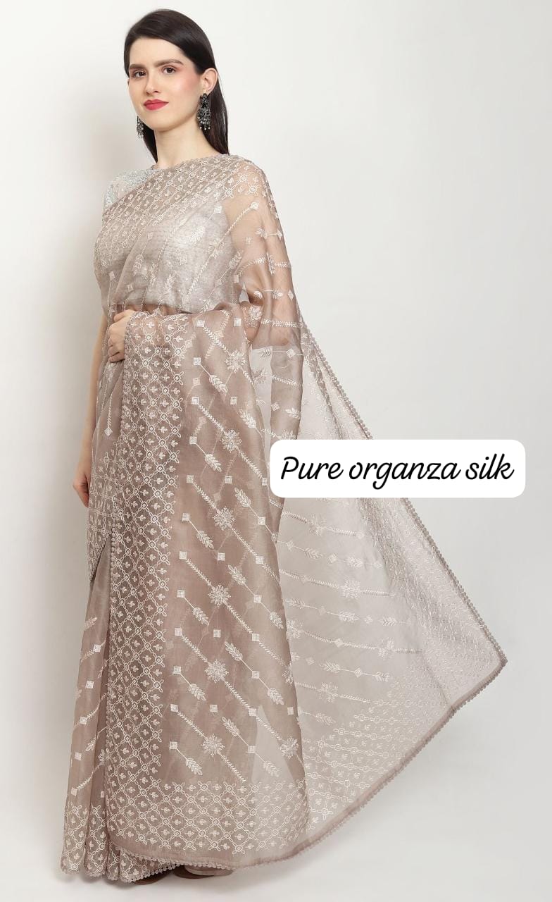 Pastel Organza Saree with Chikankari Embroidery with Crochet Lace