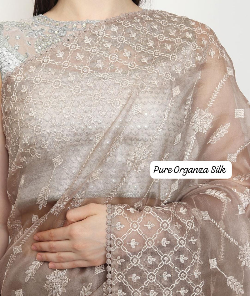 Pastel Organza Saree with Chikankari Embroidery with Crochet Lace