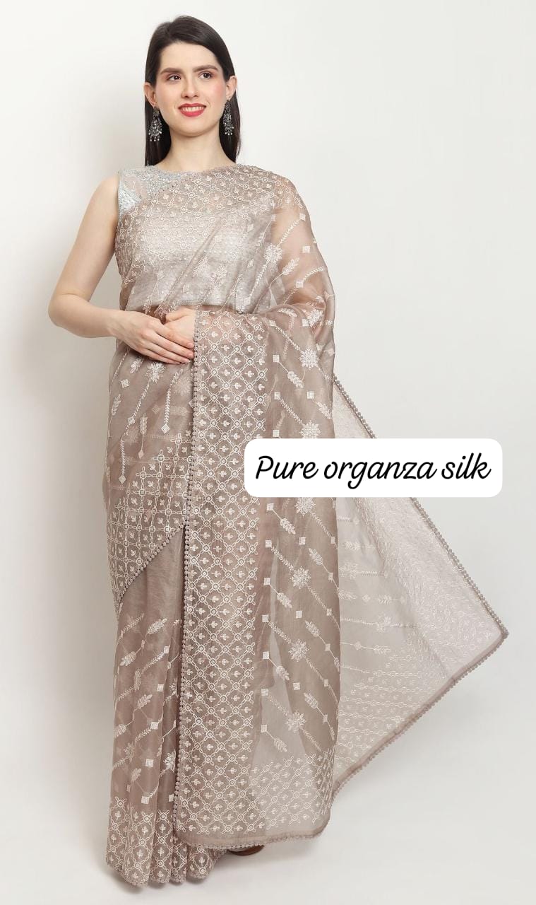 Pastel Organza Saree with Chikankari Embroidery with Crochet Lace