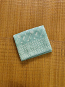 Pastel Blue Organza Saree with Chikankari Embroidery with Crochet Lace