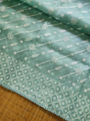 Pastel Blue Organza Saree with Chikankari Embroidery with Crochet Lace