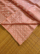 Peach Organza Saree with Chikankari Embroidery with Crochet Lace