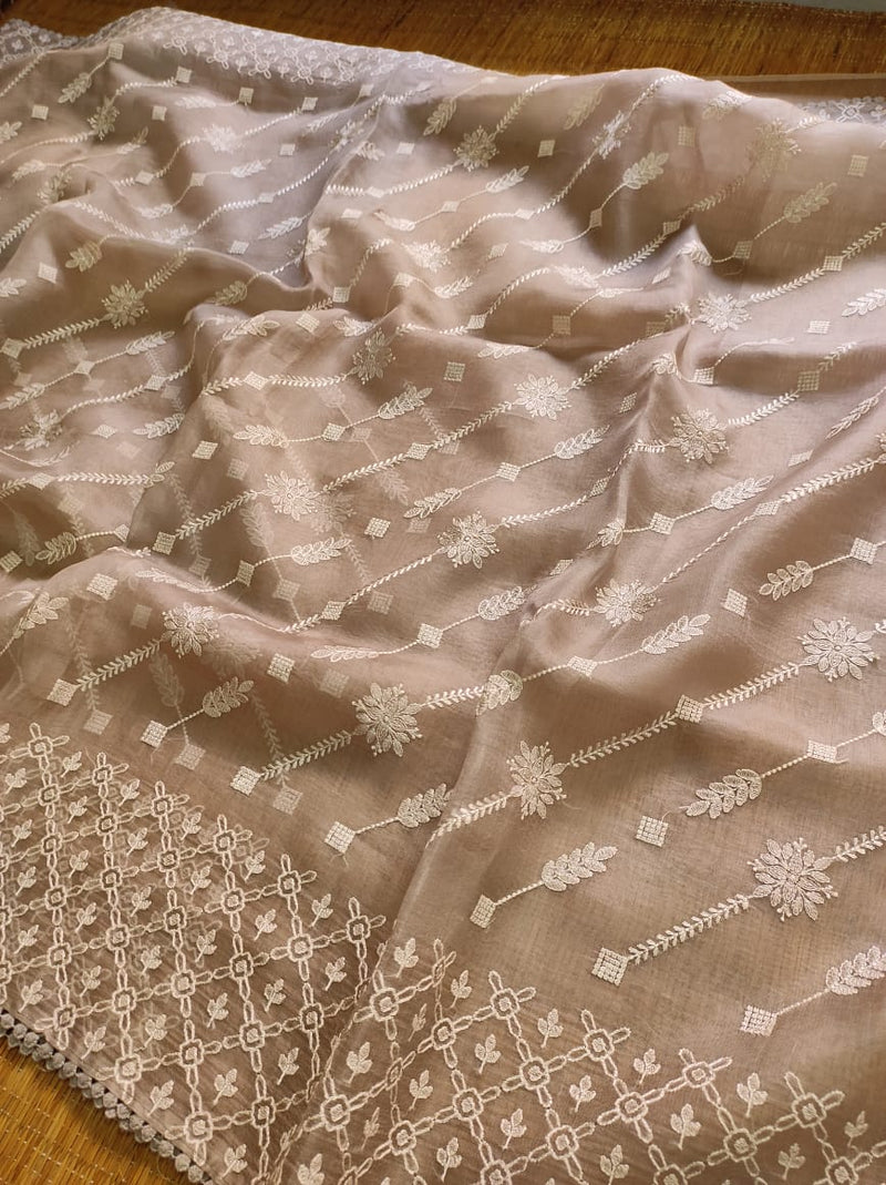 Pastel Organza Saree with Chikankari Embroidery with Crochet Lace