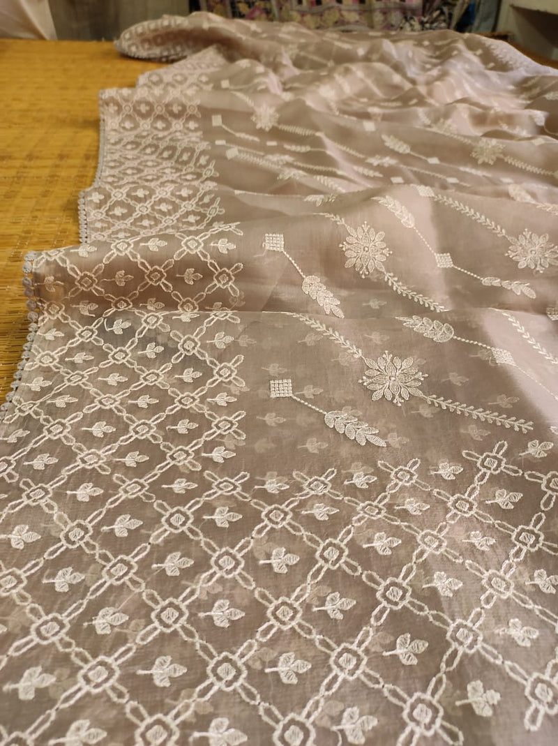 Pastel Organza Saree with Chikankari Embroidery with Crochet Lace