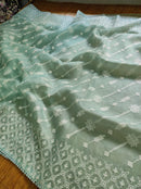 Pastel Blue Organza Saree with Chikankari Embroidery with Crochet Lace
