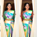Catalogue - Multi Colour 8 Kol Korvai Temple Design Handloom Kanchipuram Silk Saree