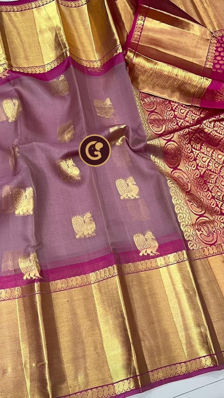 Pastel Organza Saree with Kanchi Border