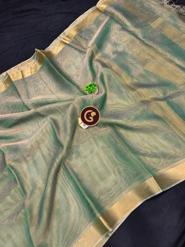 Pastel Green Tissue Tussar Silk Saree