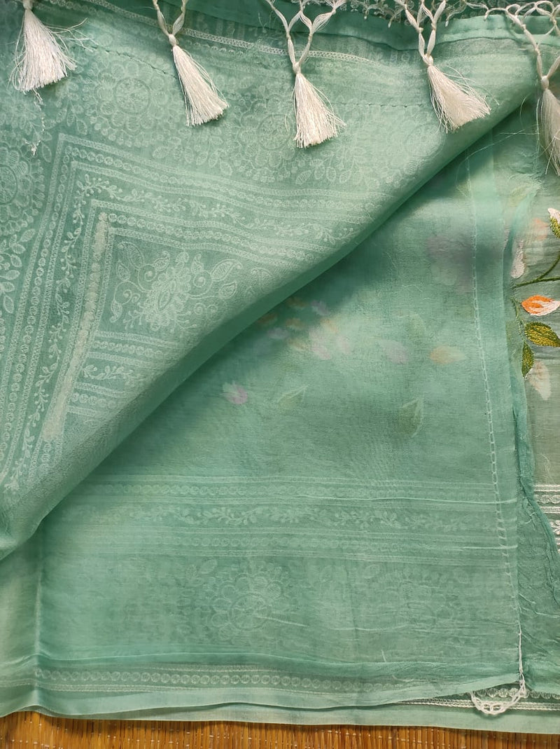 Pastel Green Organza Saree with Jaal Floral Embroidery & Chikankari Pallu