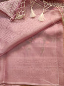 Pink Organza Saree with Jaal Floral Embroidery & Chikankari Pallu