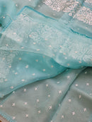 Blue Organza Saree with Parsi Embroidery Work and Crochet Lace Border