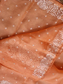 Peach Organza Saree with Parsi Embroidery Work and Crochet Lace Border