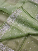 Pastel Green Organza Saree with Parsi Embroidery Work and Crochet Lace Border