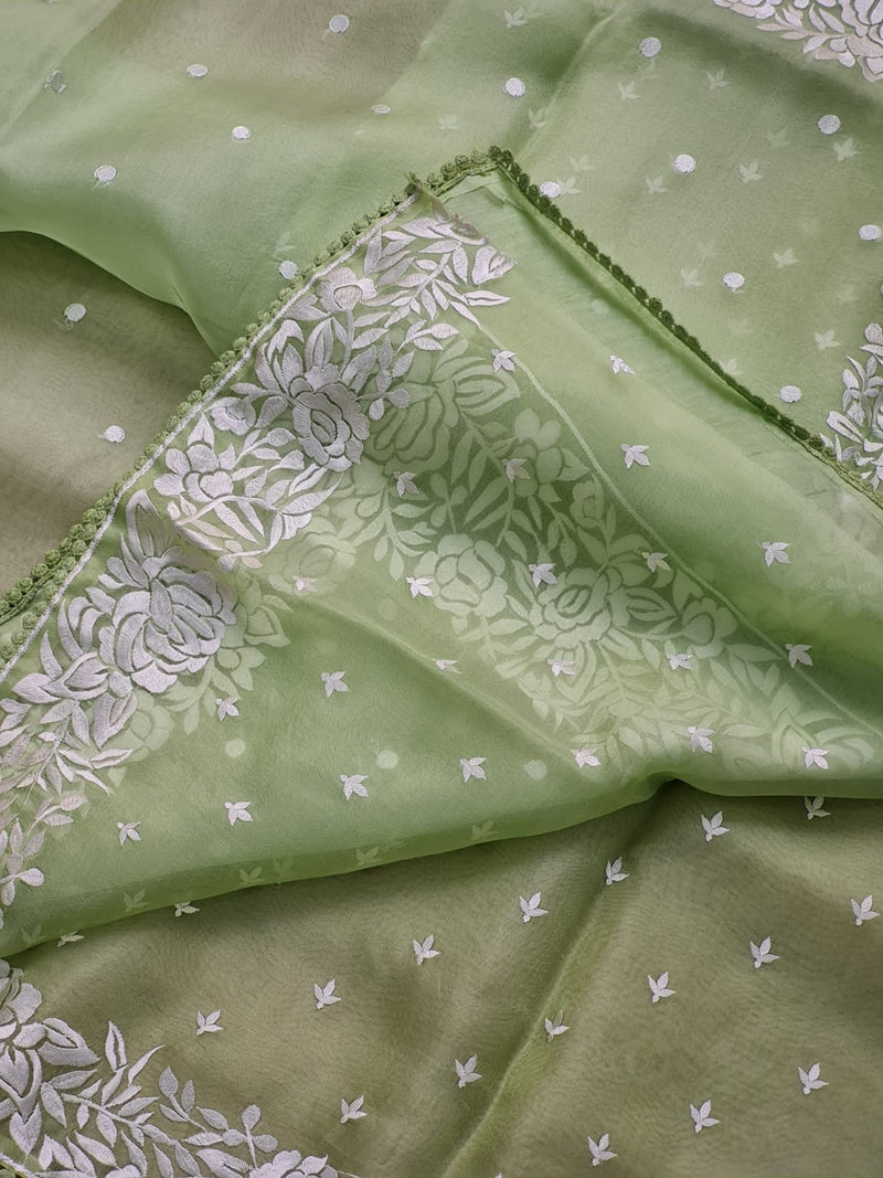 Pastel Green Organza Saree with Parsi Embroidery Work and Crochet Lace Border