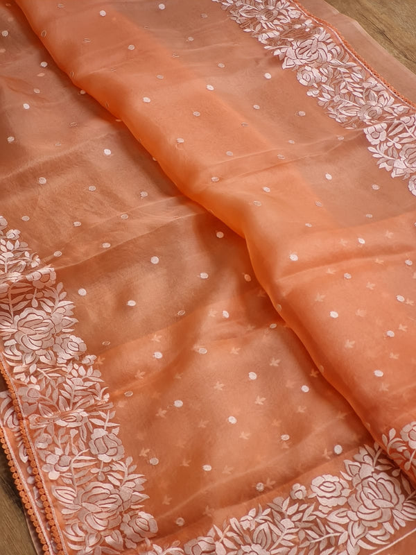 Pastel Orange Organza Saree with Parsi Embroidery Work and Crochet Lace Border