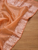 Pastel Orange Organza Saree with Parsi Embroidery Work and Crochet Lace Border