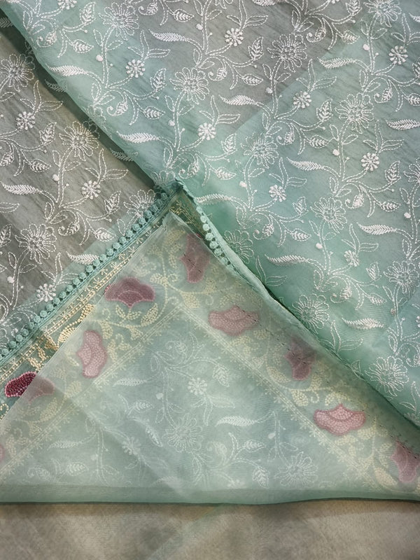Pastel Blue Organza Saree with Chikankari Embroidery Work & Crochet Lace