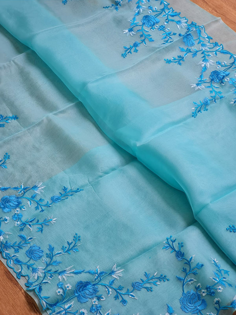 Blue Organza Saree with Floral Embroidery Border