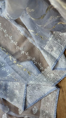 Pastel Blue Organza Saree with Unique Bird Chikankari Embroidery Design
