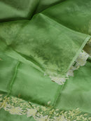 Pastel Green Organza Saree Embroidery Alfi Cutwork Scallop Border Saree