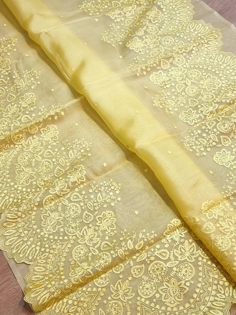 Yellow Organza Saree with Embroidery Border