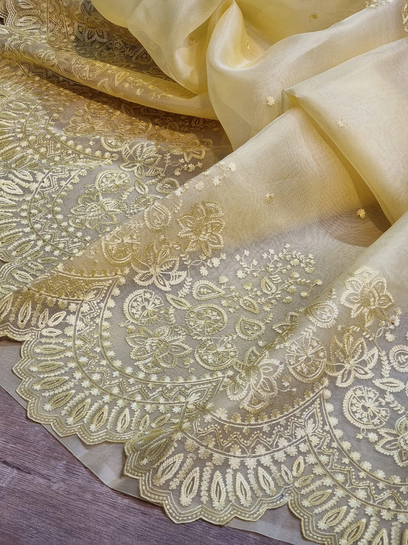 Yellow Organza Saree with Embroidery Border