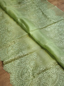 Pastel Green Organza Saree with Embroidery Border