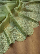 Pastel Green Organza Saree with Embroidery Border