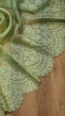 Pastel Green Organza Saree with Embroidery Border