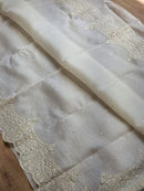 Half White Organza Saree with Embroidery Torani Pearl Scallop Border