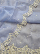Blue Organza Saree with Embroidery Torani Pearl Scallop Border