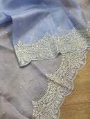 Blue Organza Saree with Embroidery Torani Pearl Scallop Border