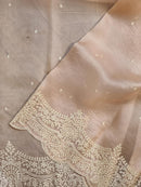 Pastel Peach Organza Saree with Embroidery Torani Pearl Scallop Border