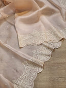 Pastel Peach Organza Saree with Embroidery Torani Pearl Scallop Border