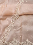 Pastel Peach Organza Saree with Embroidery Torani Pearl Scallop Border