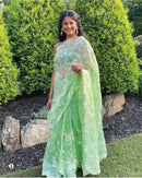 Green Organza Saree With Embroidery Jaal Cutwork Design