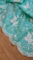 Blue Organza Saree With Embroidery Jaal Cutwork Design
