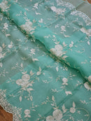 Blue Organza Saree With Embroidery Jaal Cutwork Design