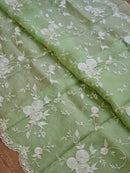 Organza Sarees With Embroidery Jaal Cutwork