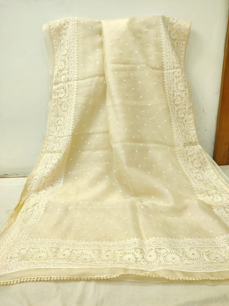 Yellow Organza Saree with Minimal Embroidery Work