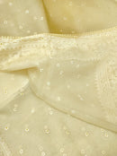 Yellow Organza Saree with Minimal Embroidery Work