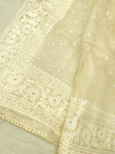 Yellow Organza Saree with Minimal Embroidery Work