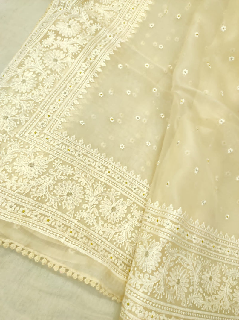 Yellow Organza Saree with Minimal Embroidery Work