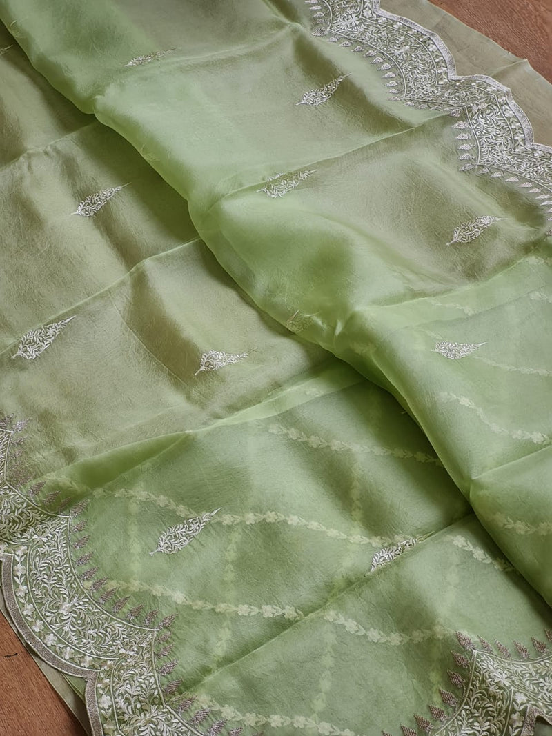 Organza Sarees with Embroidery Scallop Border