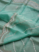 Blue Organza Saree with Embroidery Scallop Border