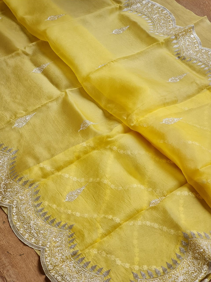 Organza Sarees with Embroidery Scallop Border