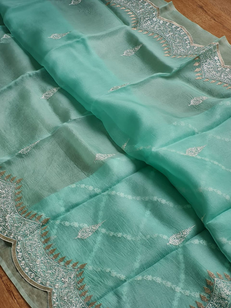 Organza Sarees with Embroidery Scallop Border